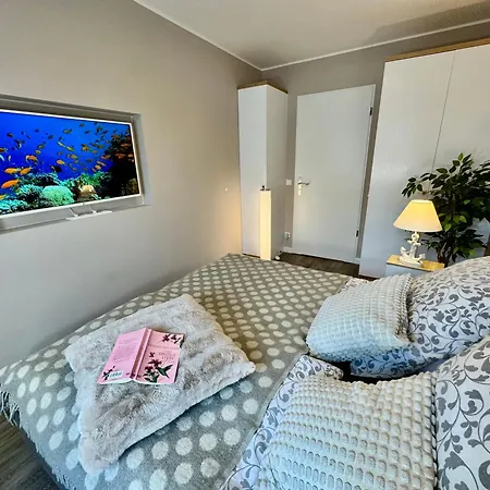 Nr 124 Sehnsucht-zingst 青斯特